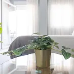 Διαμέρισμα Dream Sea Views *