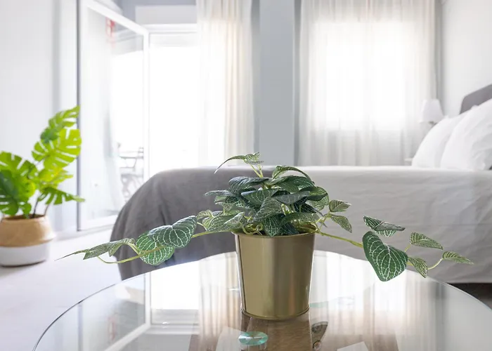 Apartmán Dream Sea Views *